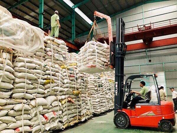 Xe Nâng Bao Jumbo